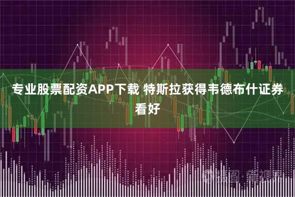 专业股票配资APP下载 特斯拉获得韦德布什证券看好