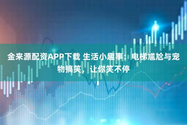 金来源配资APP下载 生活小趣事：电梯尴尬与宠物搞笑，让你笑不停